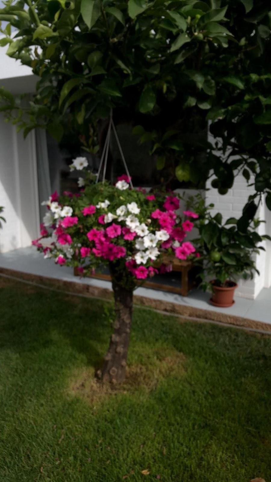 Ribaudo Relax Apartment Mondello